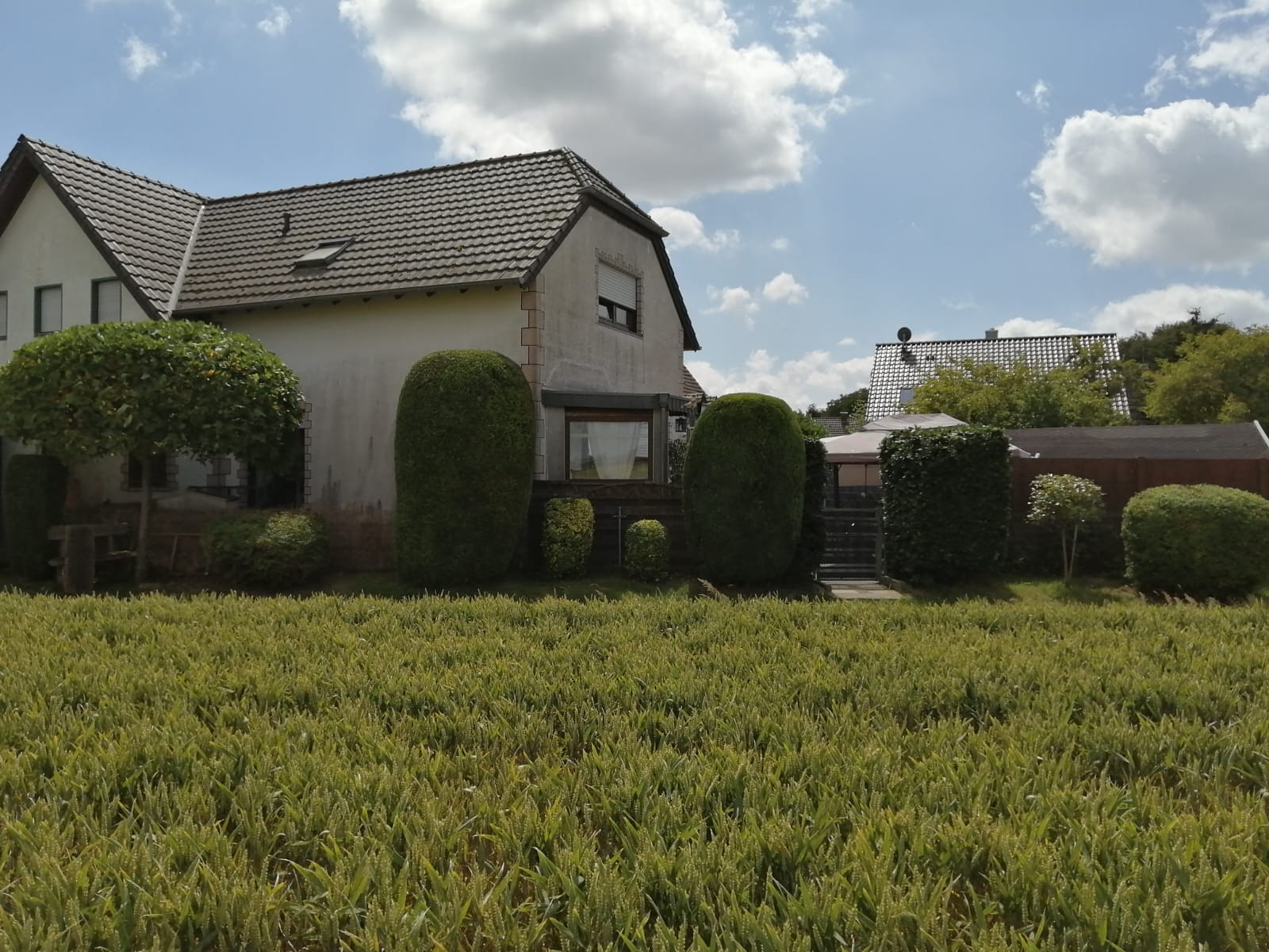 Baum und Strauch Pflege