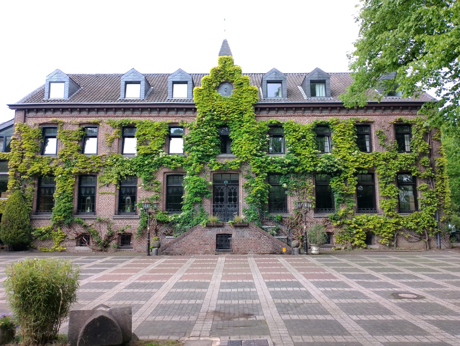 Pflege von Außenanlage